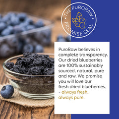 PuroRaw dried blueberries closeup plump berries highlighting natural sweetness for recipes.