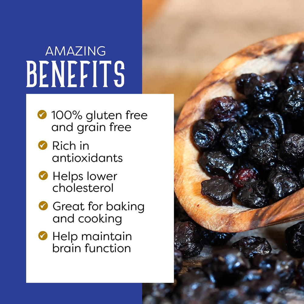 PuroRaw dried blueberries trail mix ready to boost snacks.