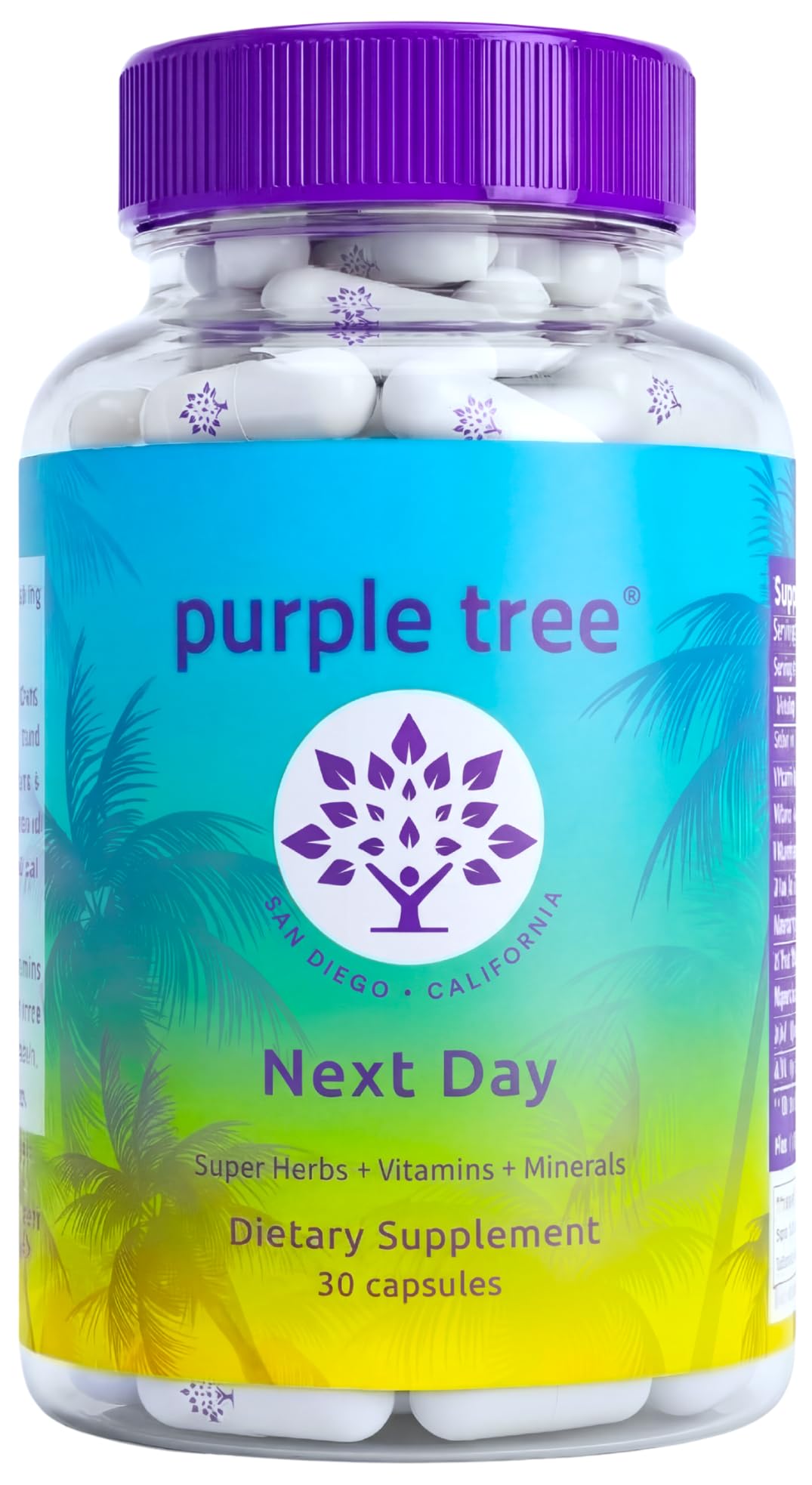 Purple Tree Next Day bottle supports morning hydration after a night out
