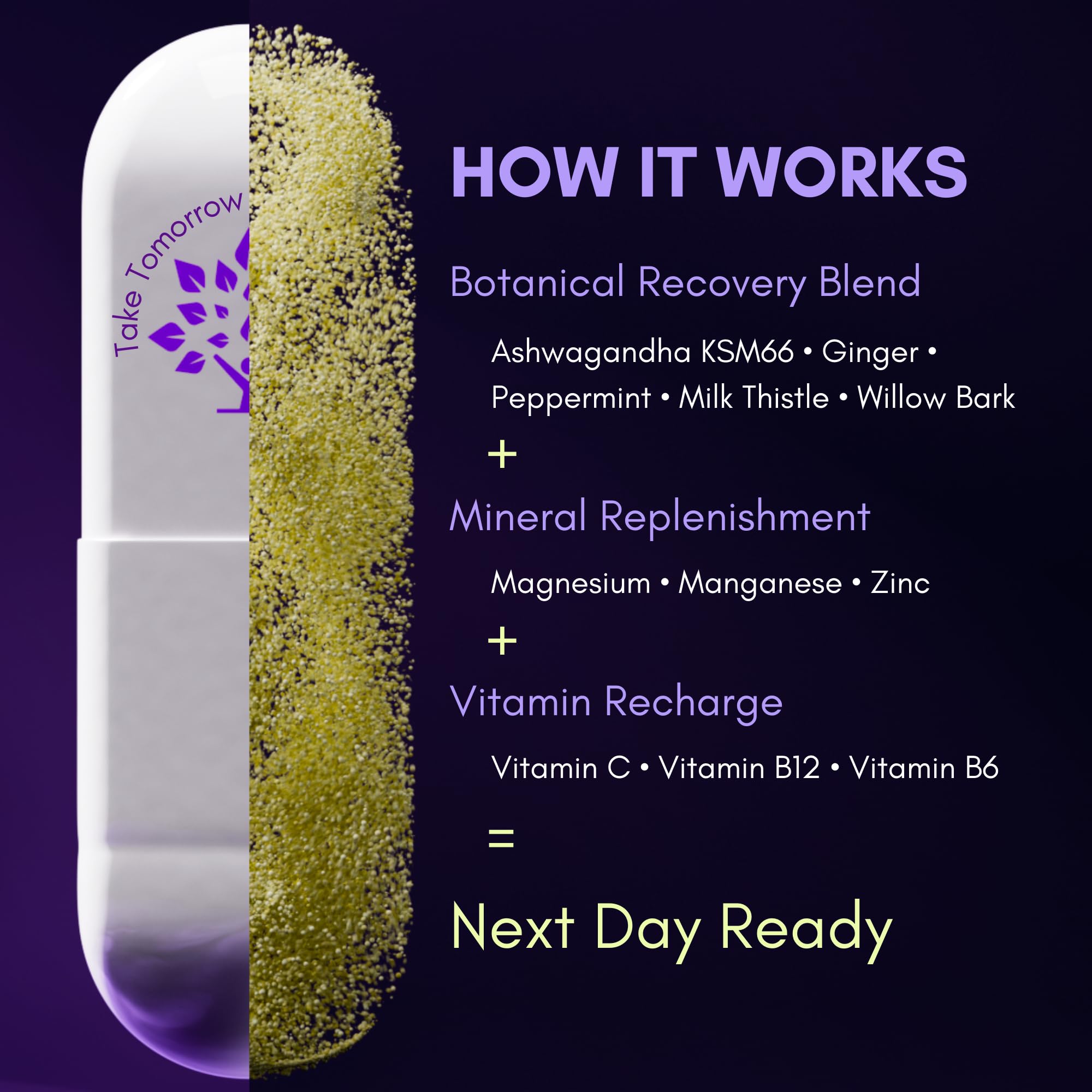 Purple Tree Next Day ingredients list ashwagandha and milk thistle for balanced recovery
