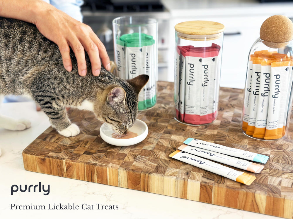 Purrly low calorie bundle portion-control friendly design supports measured rewards.