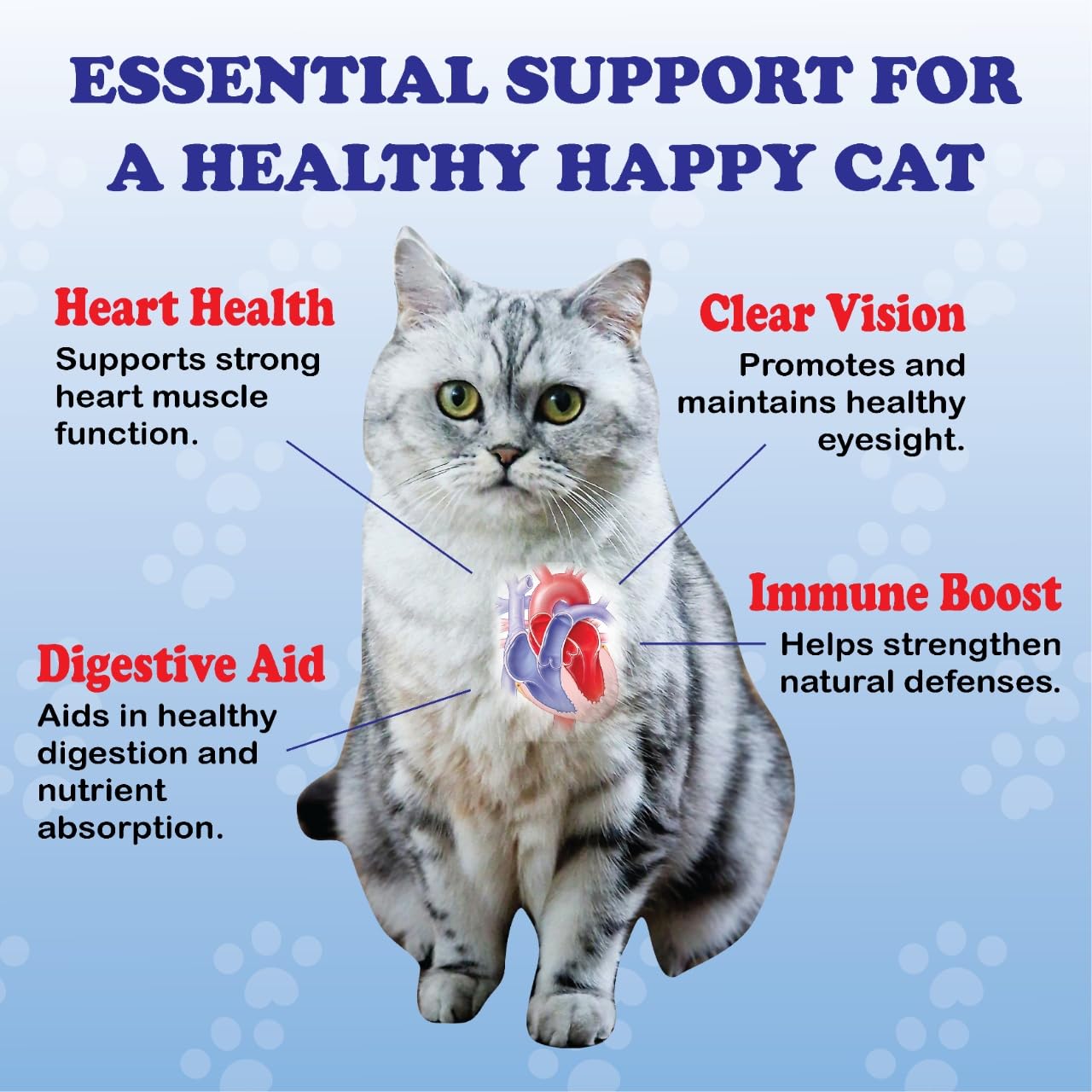 PurrVita Taurine on kibble demonstrates simple meal-time supplementation for picky eaters.