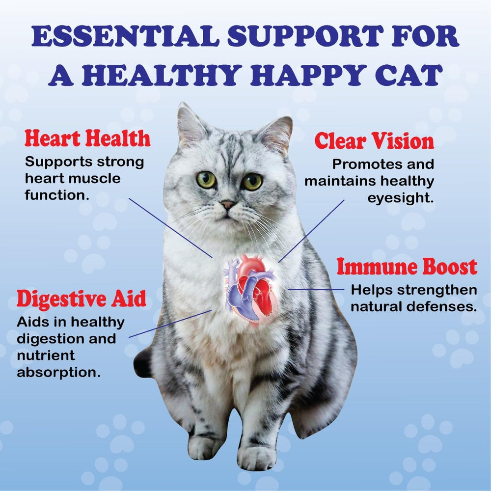 PurrVita Taurine on kibble demonstrates simple meal-time supplementation for picky eaters.