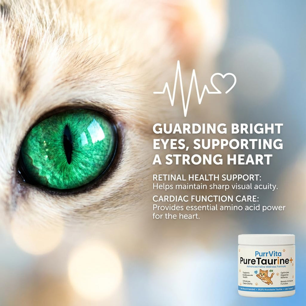 PurrVita Taurine powder closeup offers pure, high-potency nutrition for cats.