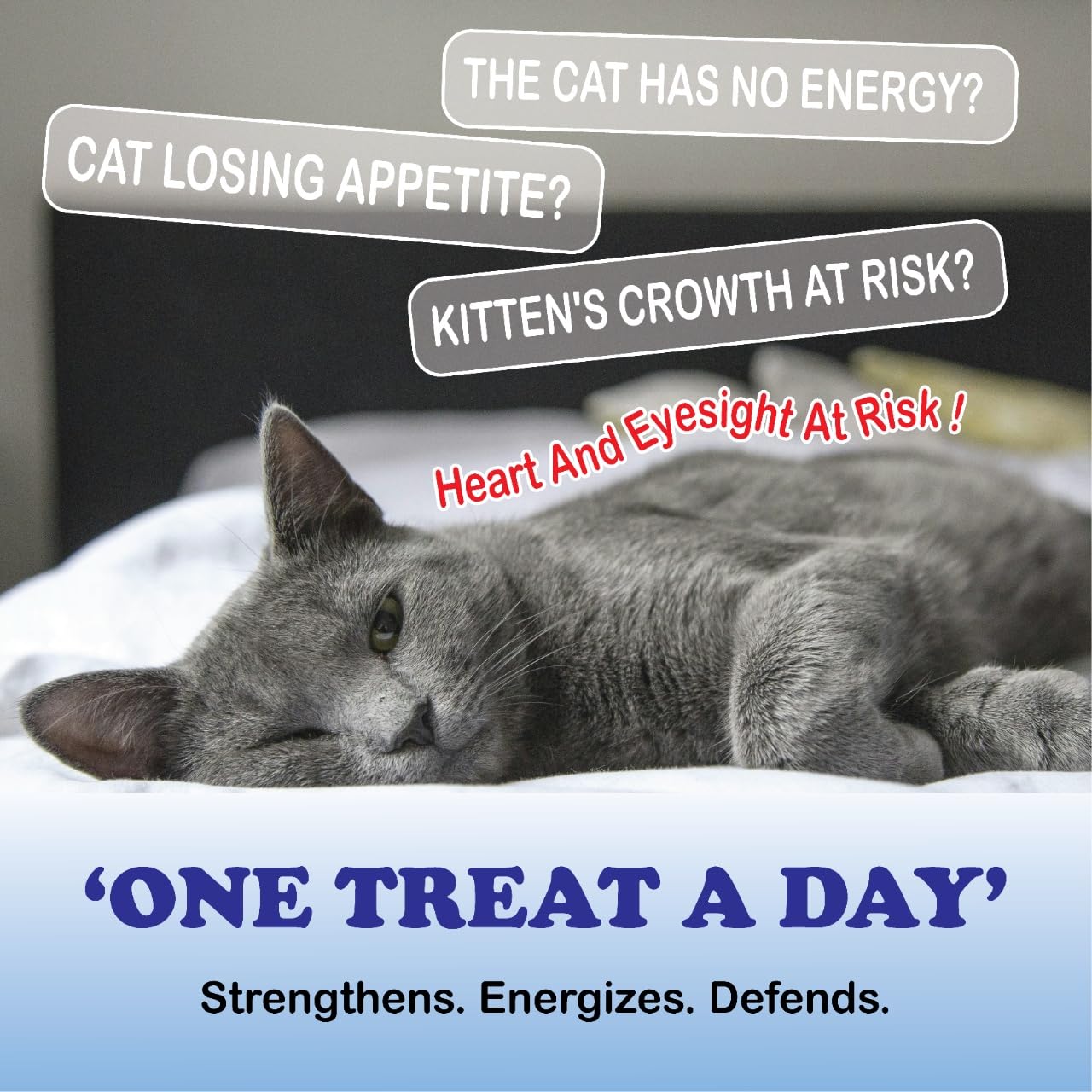 PurrVita Taurine dosing spoon shown for easy, mess-free mixing with meals.