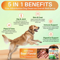 Puyrzoe 5in1 bottle emphasizes convenient daily use for joints and immunity