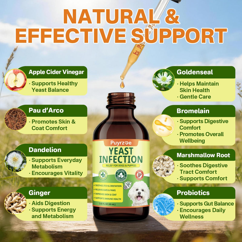 Puyrzoe digestive-balance graphic hints at gut support.