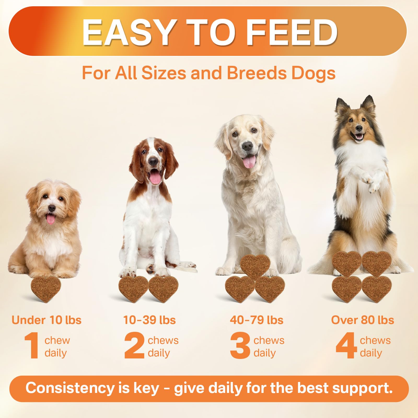 Puyrzoe digestive health visuals highlight probiotic balance for comfort