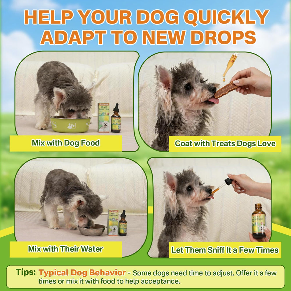 Puyrzoe liquid-drops administration shows easy direct dosing.
