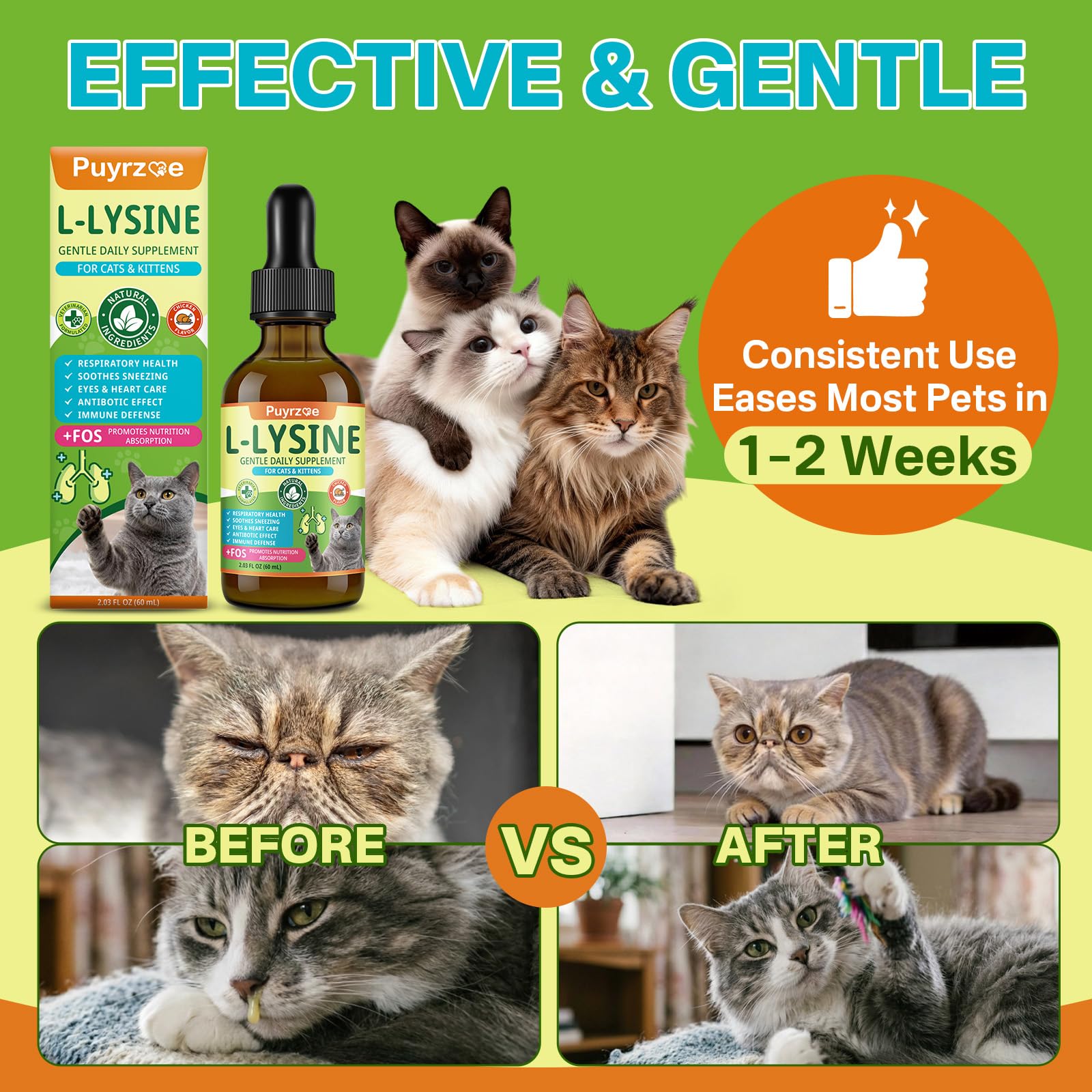 Puyrzoe Lysine Drops for kittens and cats during daily care.
