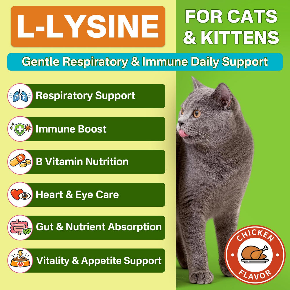 Puyrzoe Lysine Drops dropper dispensing drops into cat food.