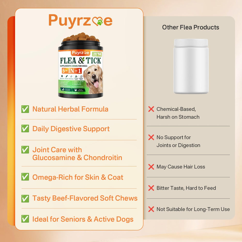 Puyrzoe for outdoor dogs supports daily protection on adventures