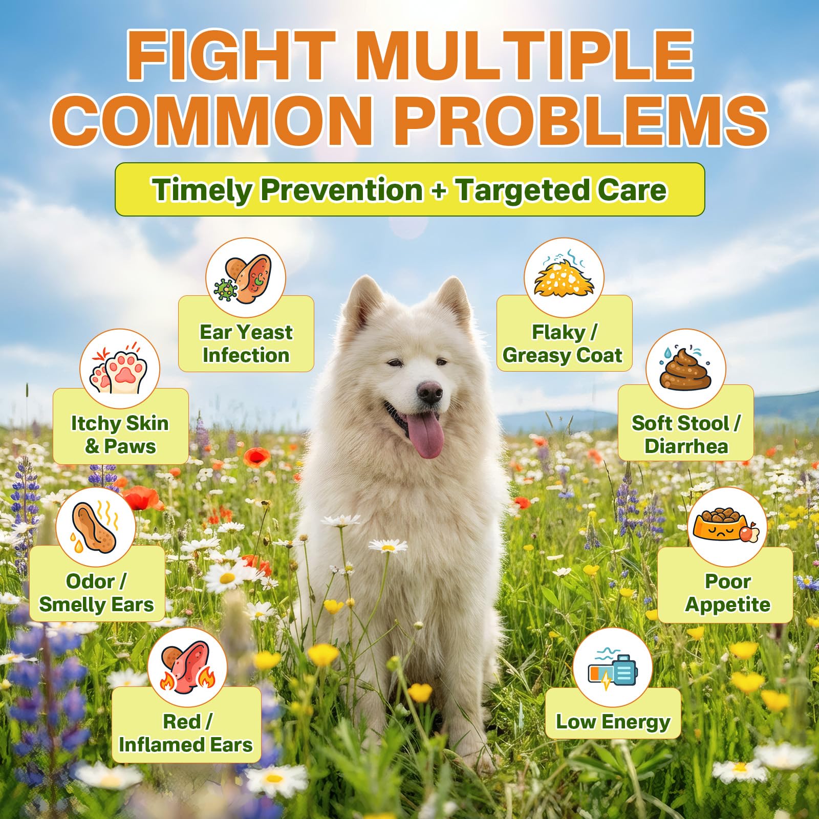 Puyrzoe paw-relief illustrates comfortable, irritation-free paws.