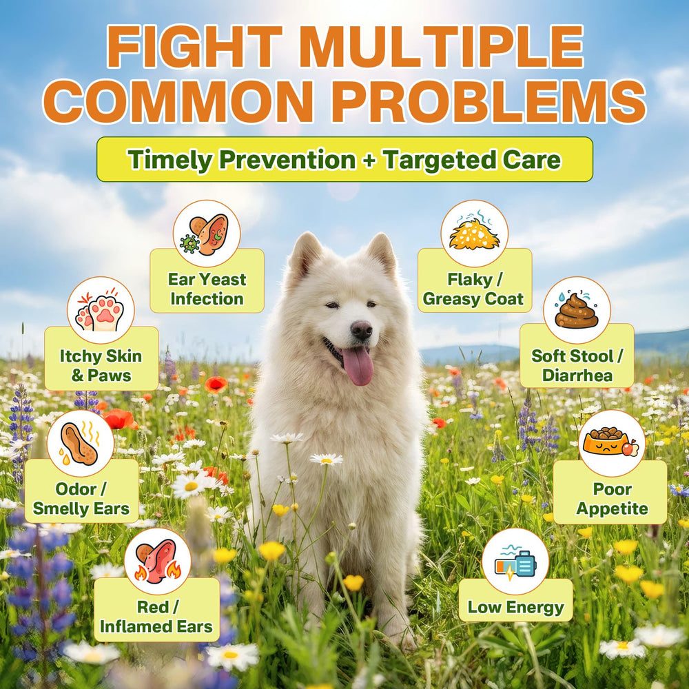Puyrzoe paw-relief illustrates comfortable, irritation-free paws.