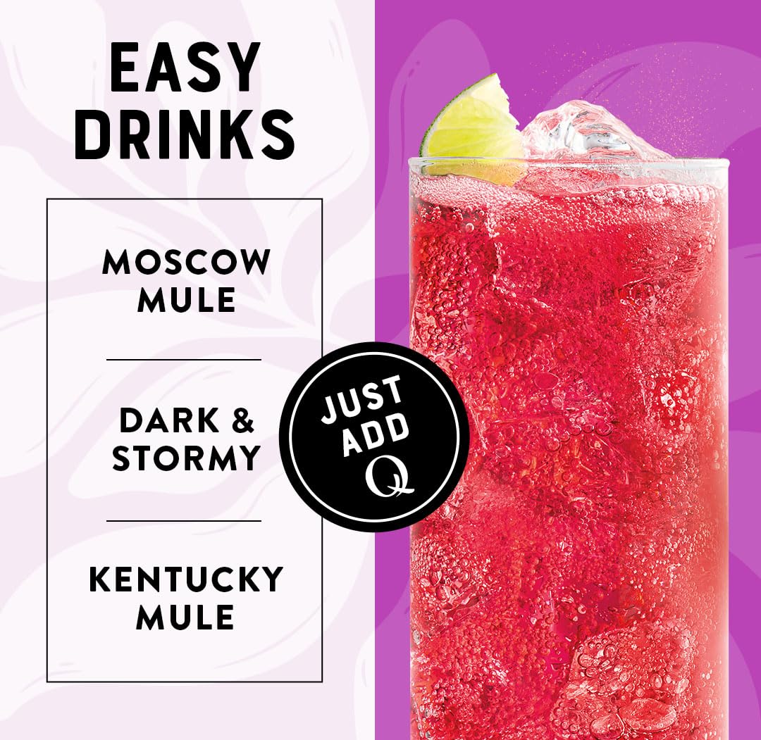 Q MIXERS Hibiscus Ginger Beer 24-pack packaging for convenient hosting.