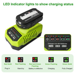 QANAVIROX 18V battery P107 compatibility for tougher tasks.