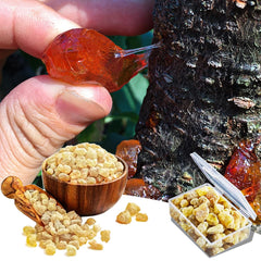 Qicai Xiaolu frankincense resin amber jar highlighting premium packaging.