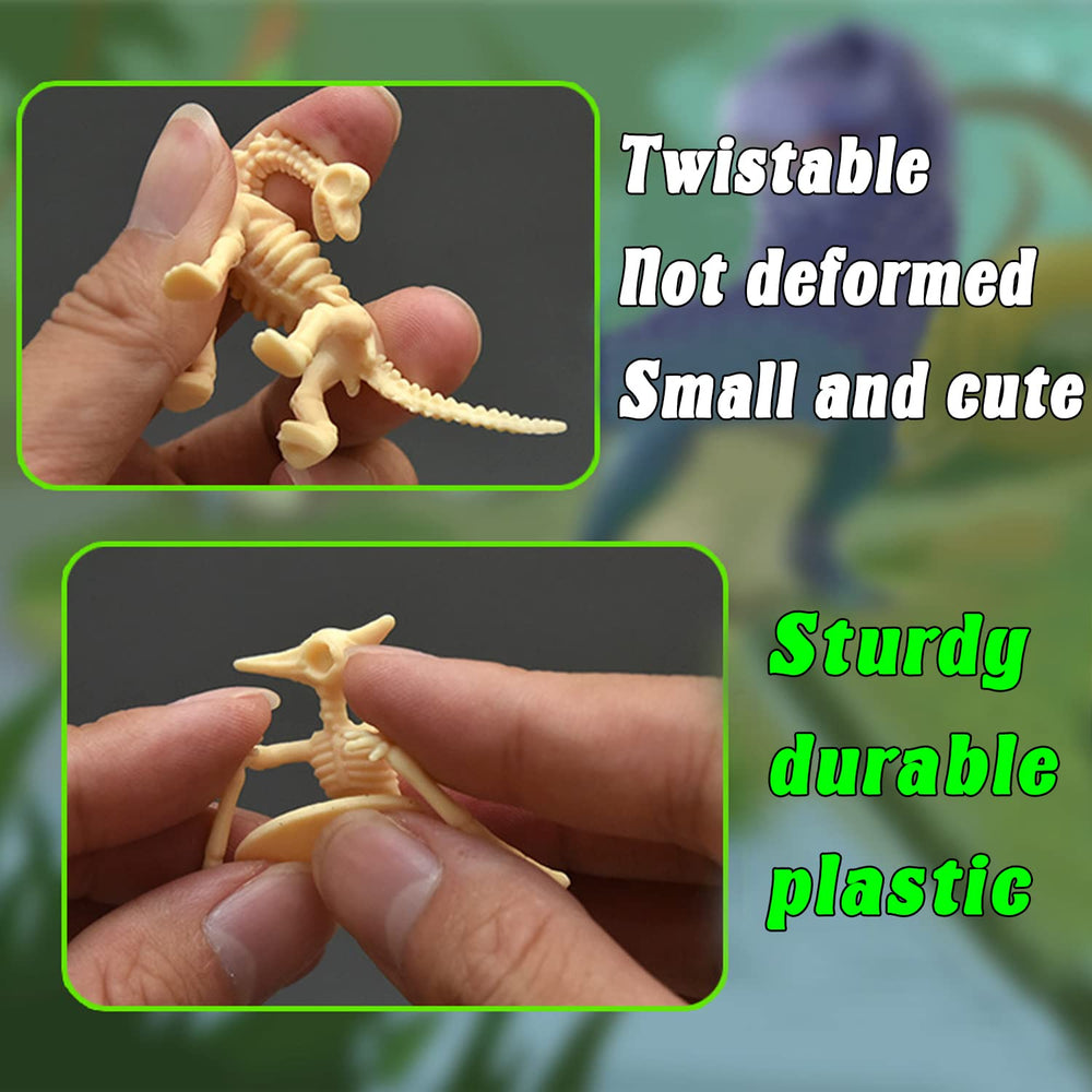 Qiuttnqn dinosaur fossil skeleton 03 supports easy classroom display and learning.