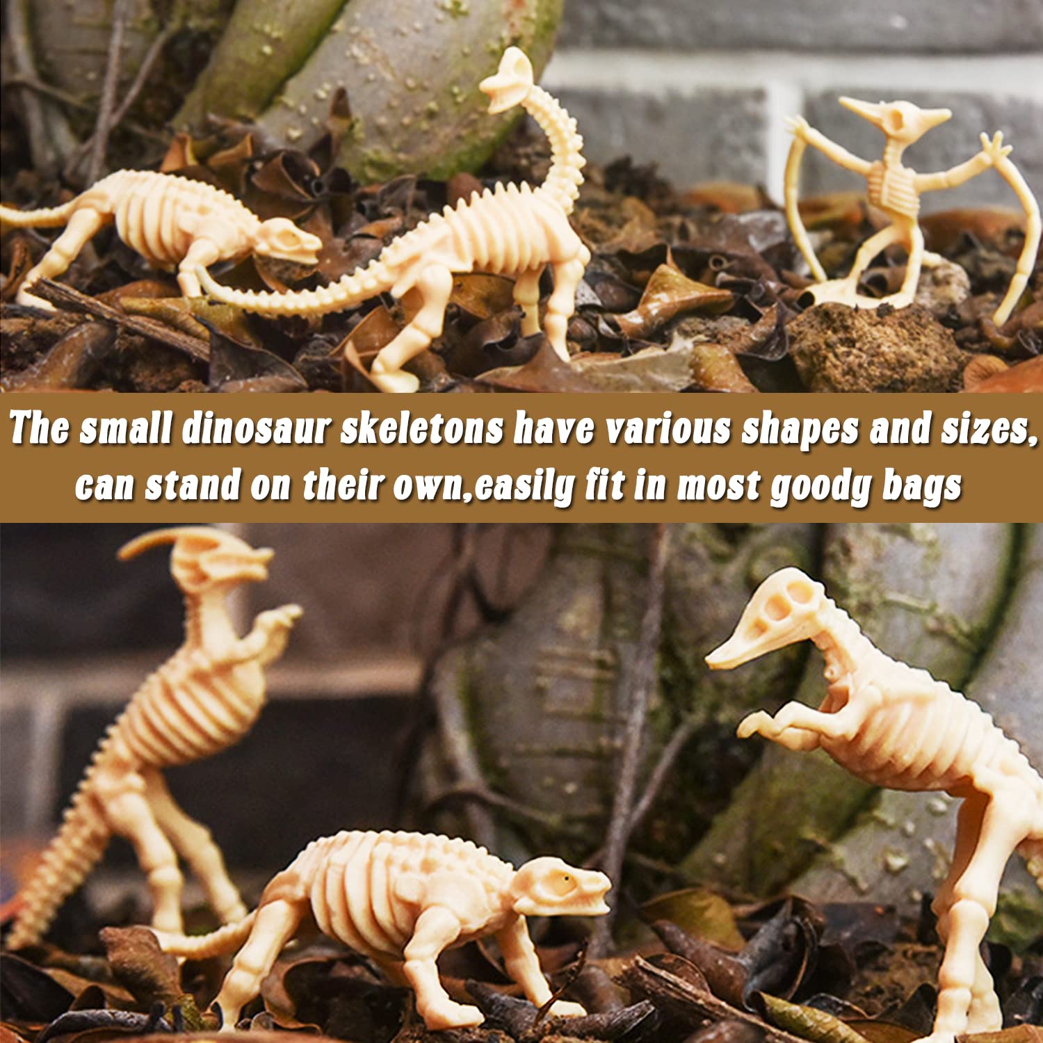Qiuttnqn dinosaur fossil skeleton 04 perfect travel-friendly dinosaur science toy.