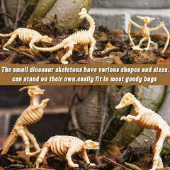 Qiuttnqn dinosaur fossil skeleton 04 perfect travel-friendly dinosaur science toy.