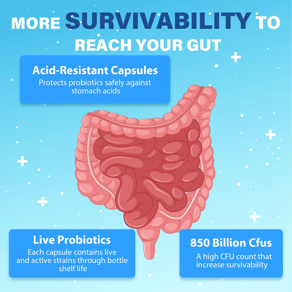 QIVERNAMY Probiotic 50plus lifestyle-friendly packaging for busy days.