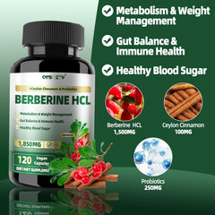 Close-up of Qmiozzy berberine capsules showing liposomal form for better absorption.