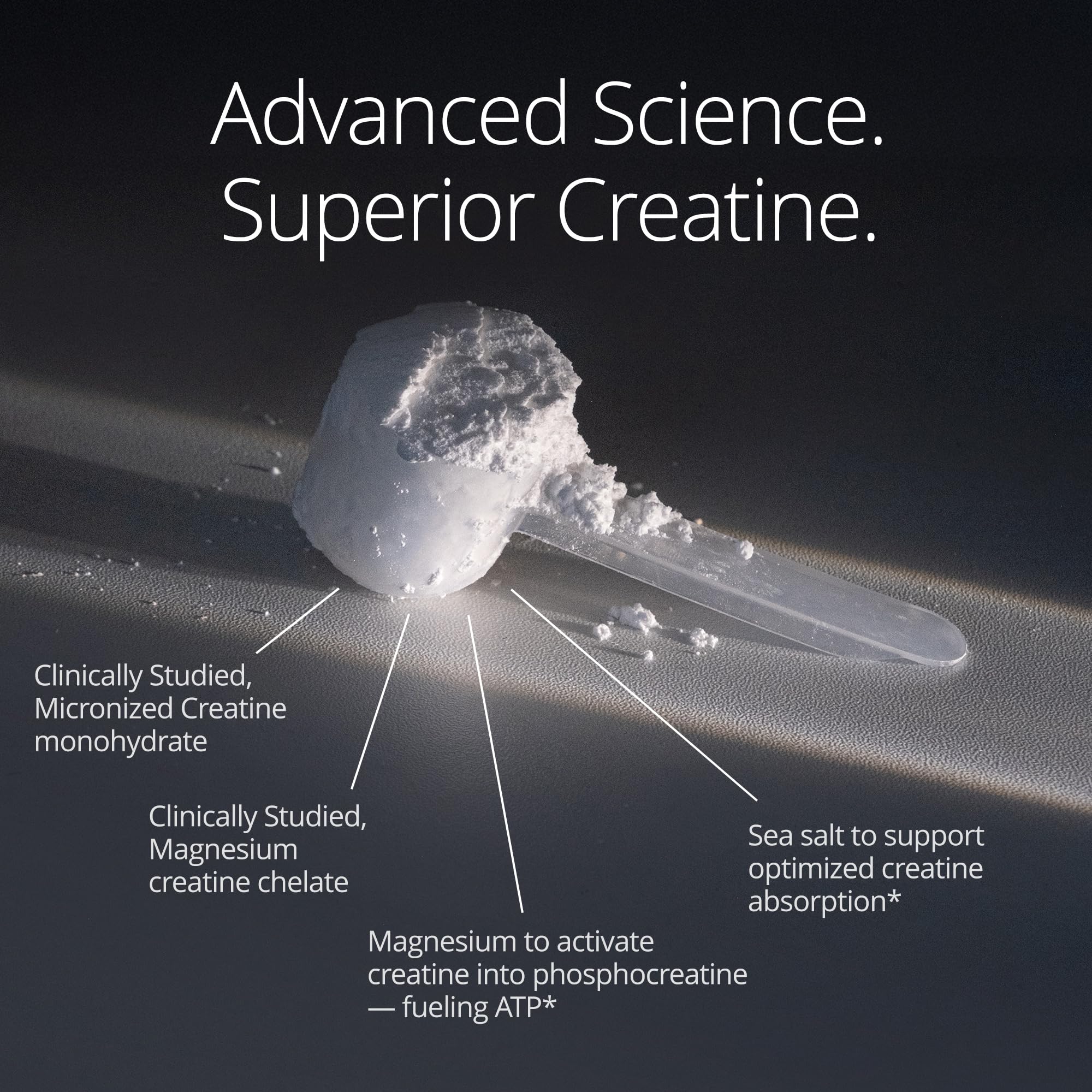 Qualia Creatine+ bottle with label highlighting ingredients.