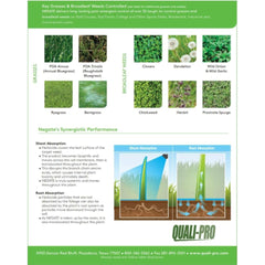Quali-Pro Negate 37WG bottle designed for post-emergent turf applications