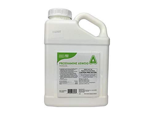 Quali-Pro Prodiamine granules spread on a patch of turf for weed prevention.