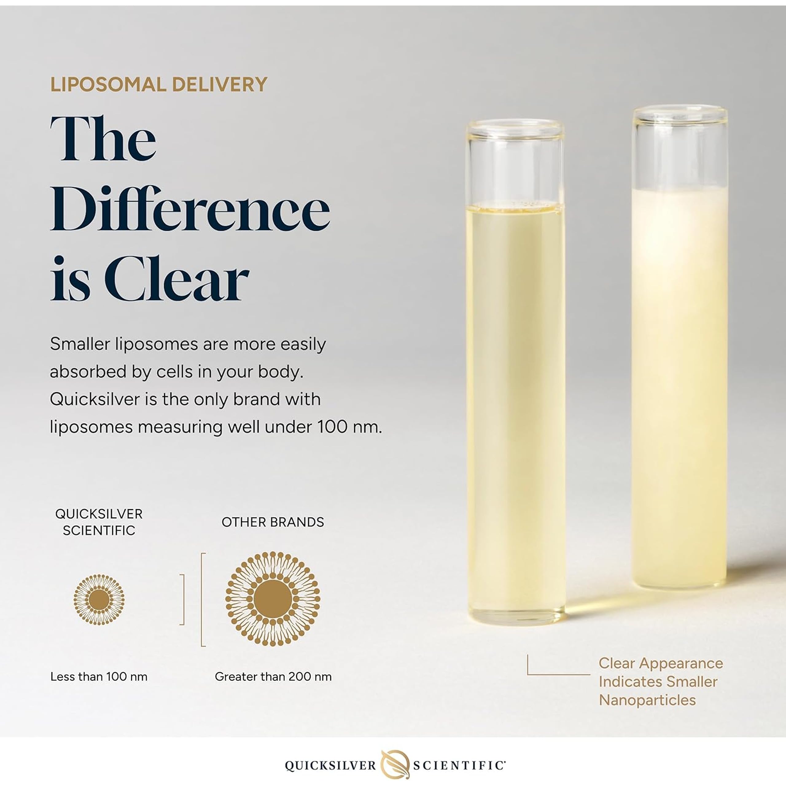 Quicksilver Scientific Methyl B Complex liposome delivery microvesicles illustrating rapid absorption.
