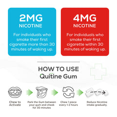 Quitine nicotine gum fruit flavor close-up showing coating and texture