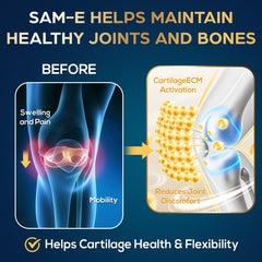Quorinthiumax vegan capsules highlight plant-based, hypoallergenic SAM-e option.