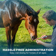 QZQAB Ivermectin horse paste six-pack packaging for ready use.