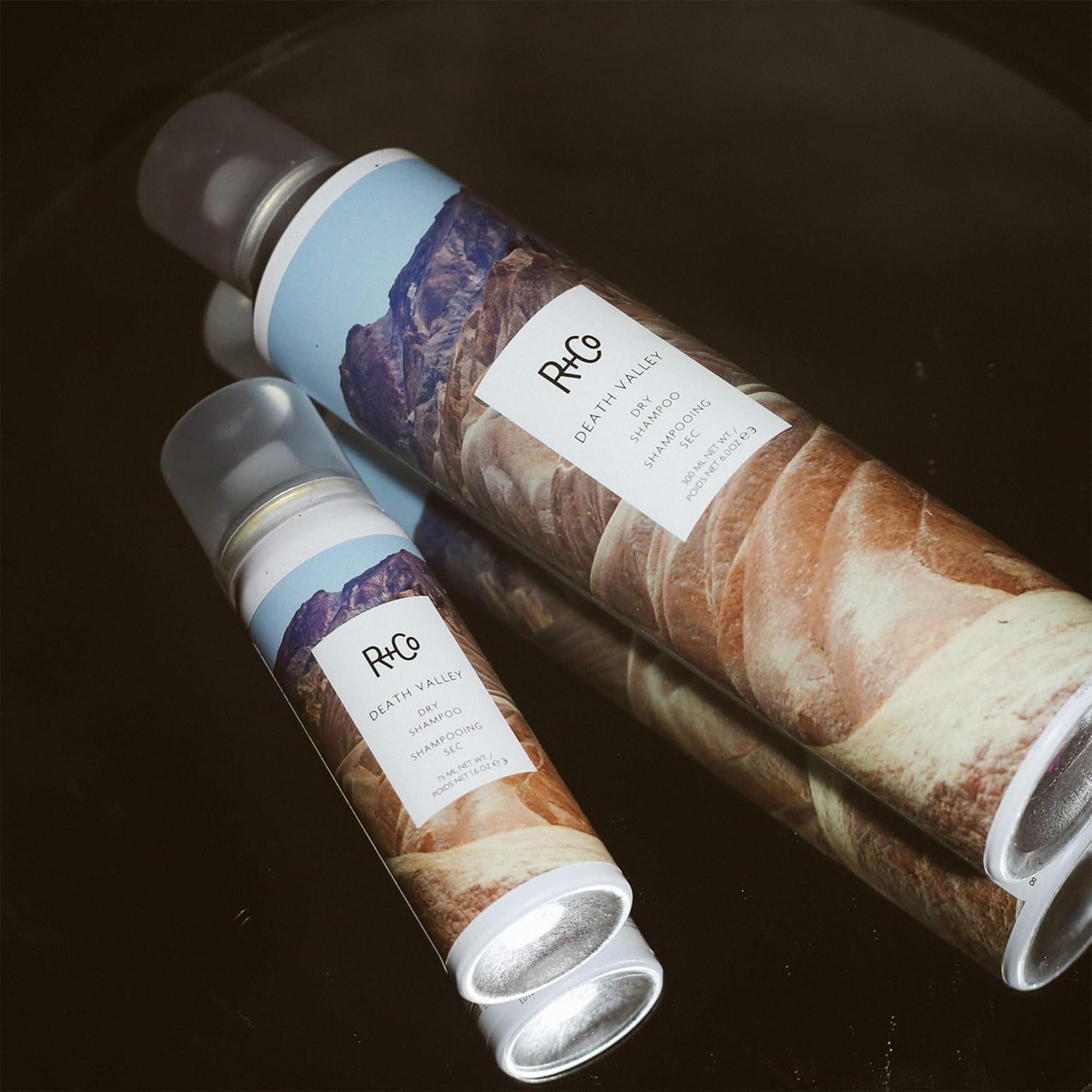 R+Co Death Valley dry shampoo oil absorption reduces shine.