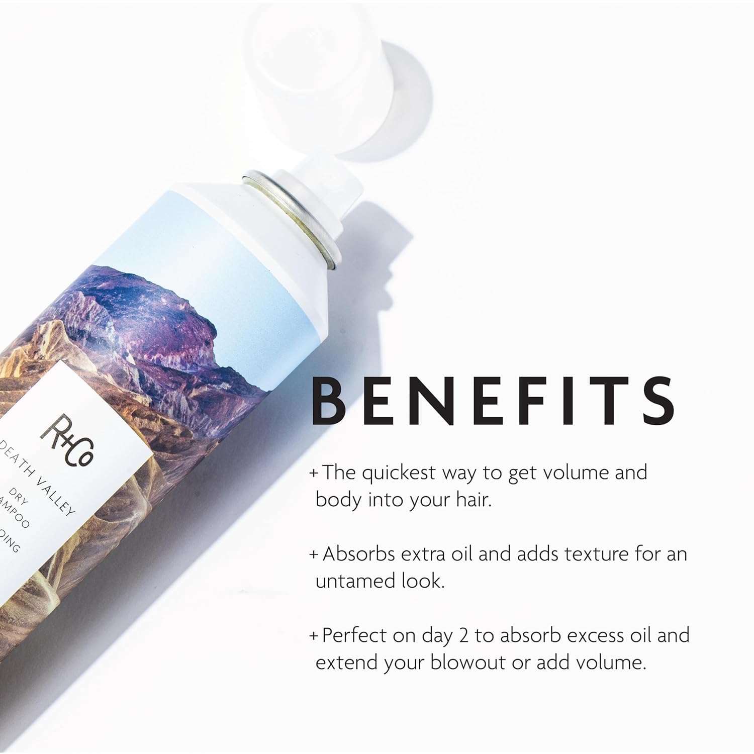 R+Co Death Valley dry shampoo texture application creates light, workable texture.