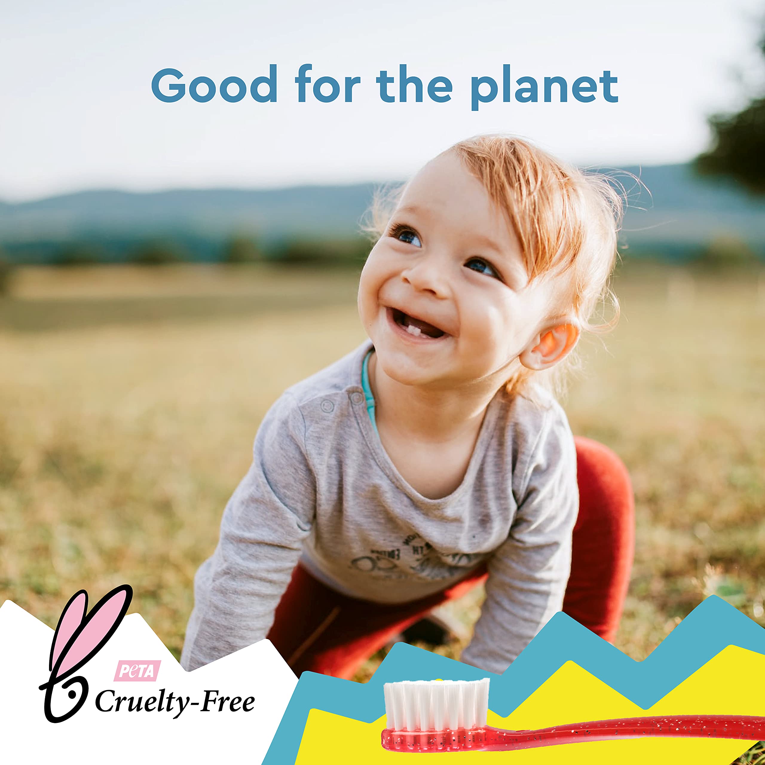 RADIUS Totz Brush USA made quality supports durable daily use