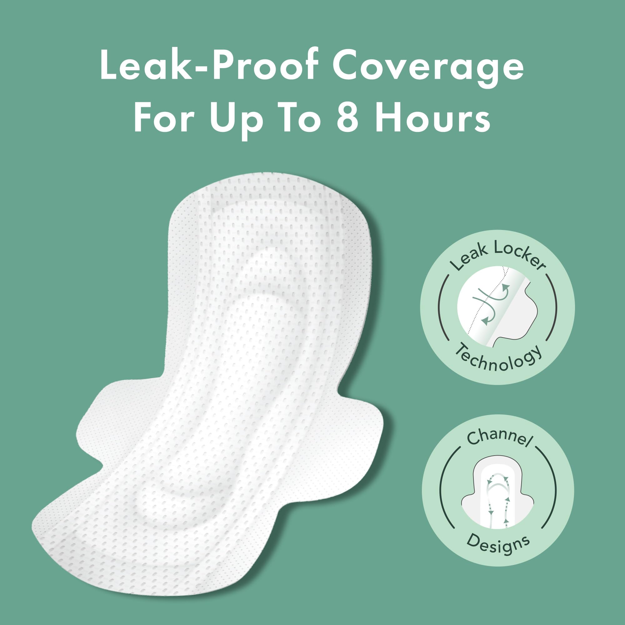 Rael pads – moderate absorbency for daily protection during light to moderate flow.