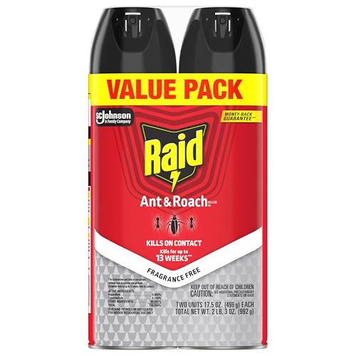 Raid Ant & Roach Killer 26 two-count package for value