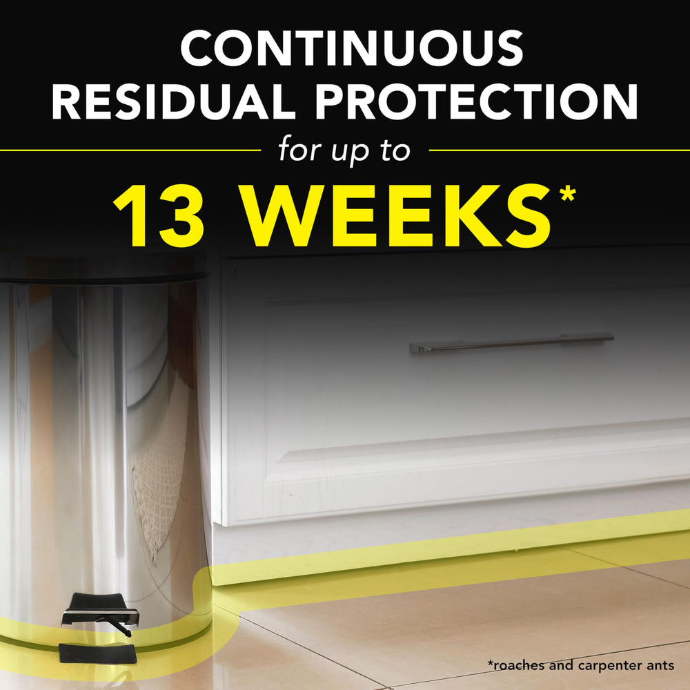 Raid Ant and Roach Killer fragrance-free label up to 13 weeks residual control