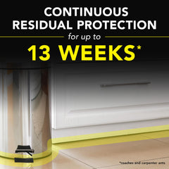 Raid Ant and Roach Killer fragrance-free label up to 13 weeks residual control