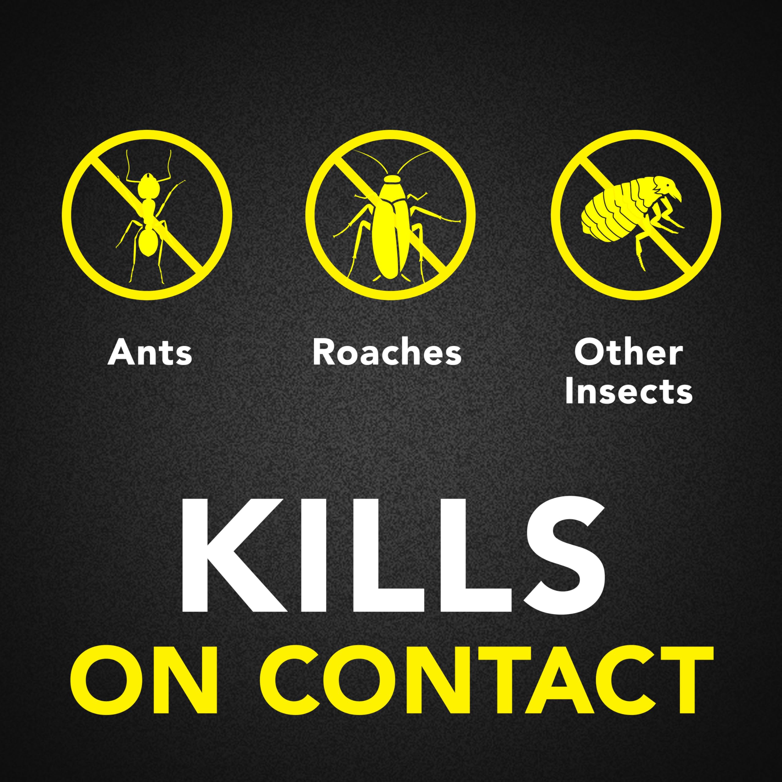 Raid Ant & Roach Killer on kitchen counter shows easy surface application.