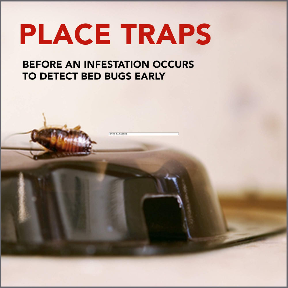 Raid bed bug detector-trap indoor use suitable for bedrooms and living spaces.