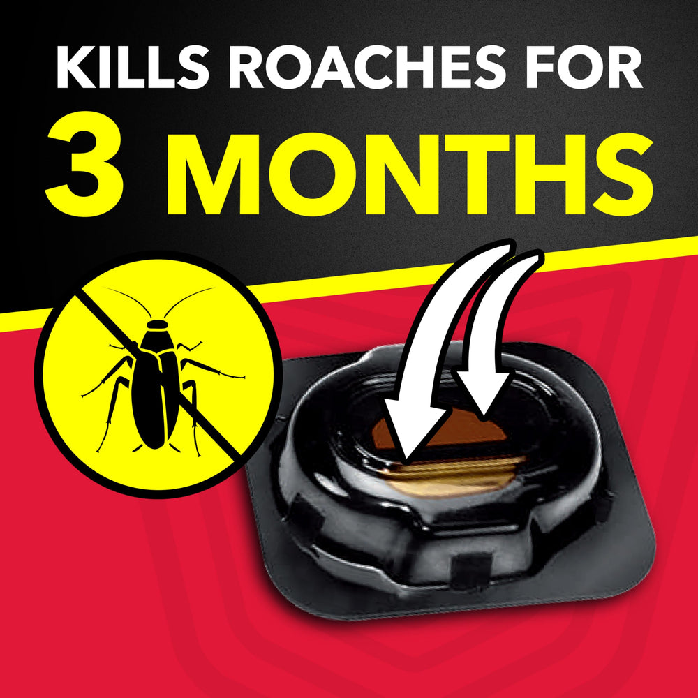Raid Double Control bait-station closeup highlights dual-bait formula for faster nest targeting