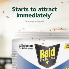 Raid Essentials Fruit Fly Trap on counter, blends with home decor.