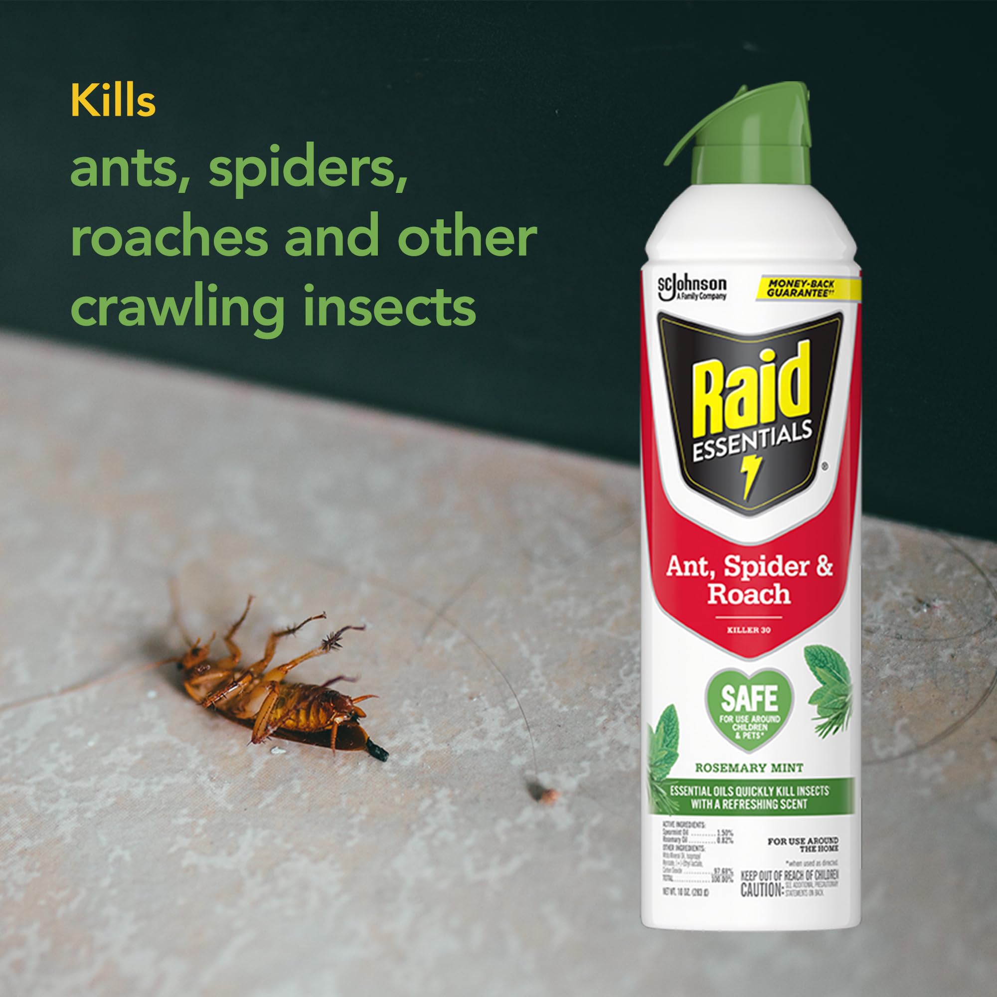 Family-friendly Raid Essentials used safely around kids and pets