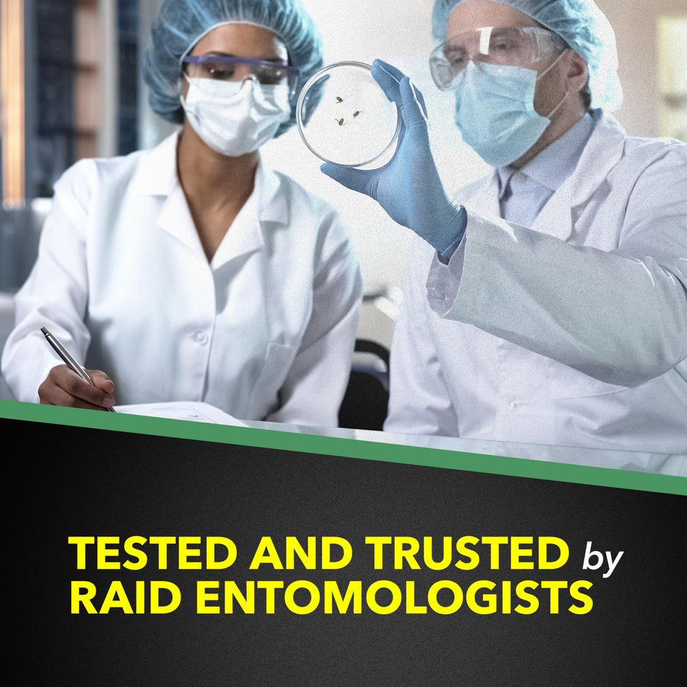Raid House and Garden spray targets aphids and roaches with broad pest control.