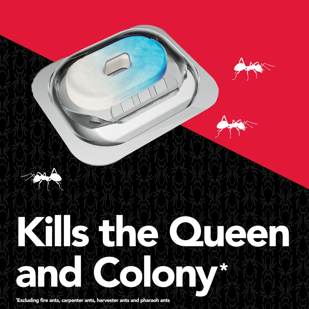 Raid Max bait station in kitchen corner targets ants at entry points