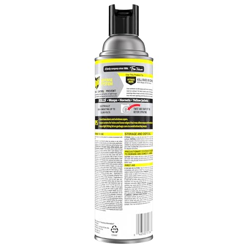Raid Wasp & Hornet Killer used for outdoor application around a patio.