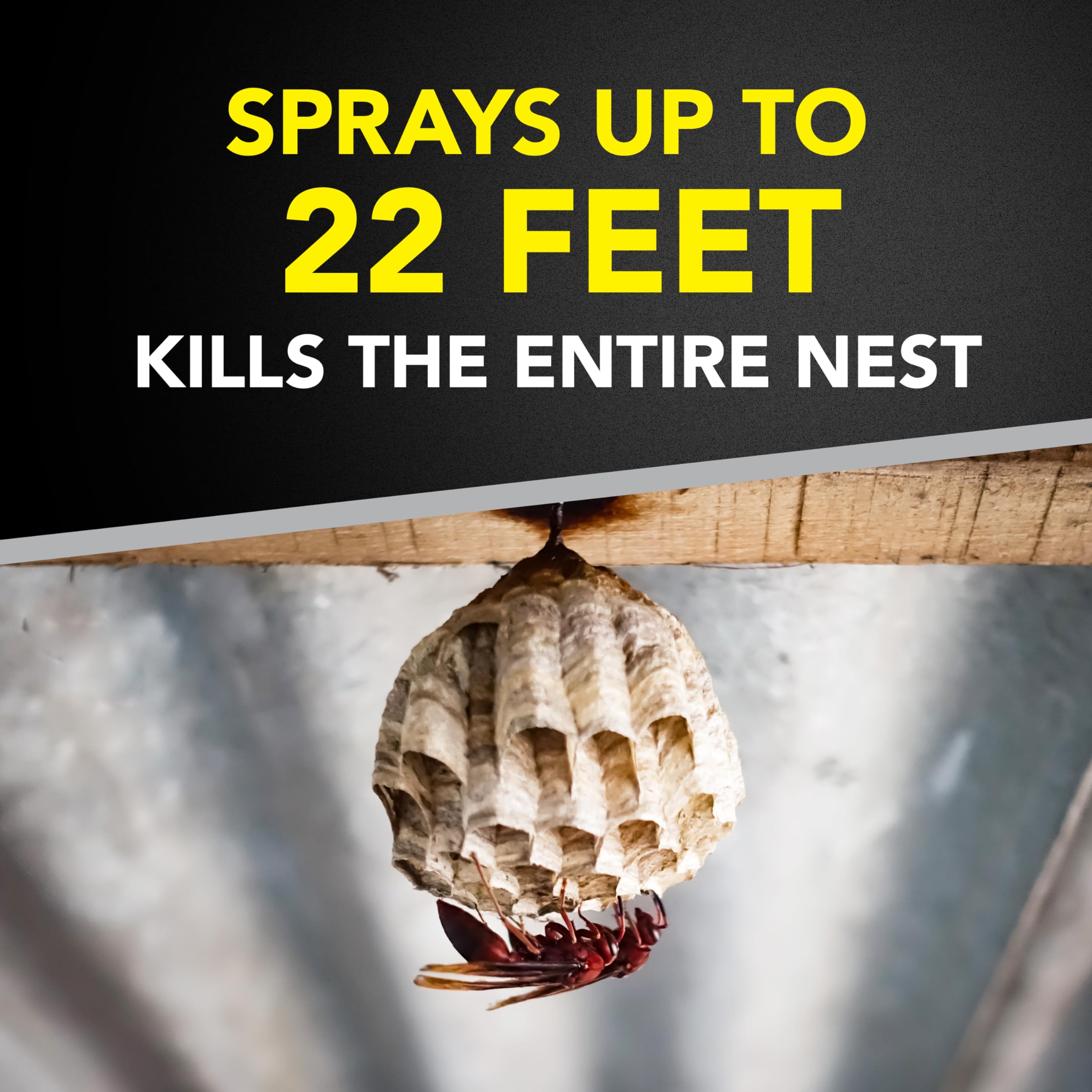 Raid Wasp & Hornet Killer used outdoors to target a distant nest near eaves.
