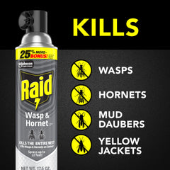 Raid Wasp & Hornet Killer Spray mist projection demonstrates reach for distant nests.